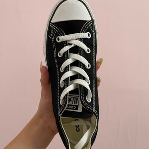 Converse Chuck Taylors Low Tops